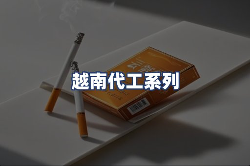 越南代工系列